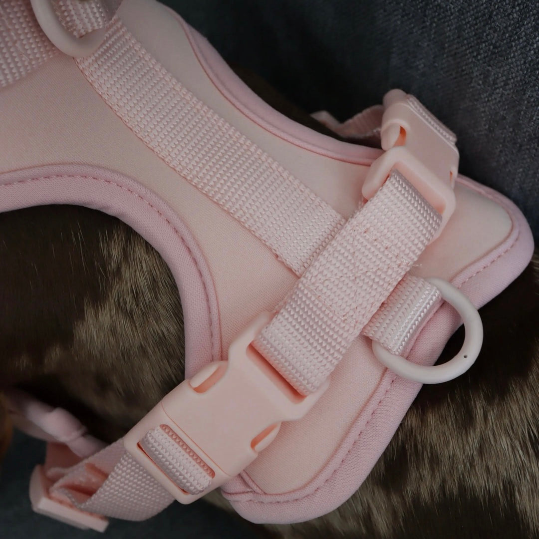 GoodDog Harness Limited