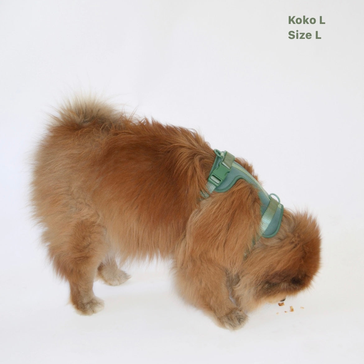 GoodDog Harness