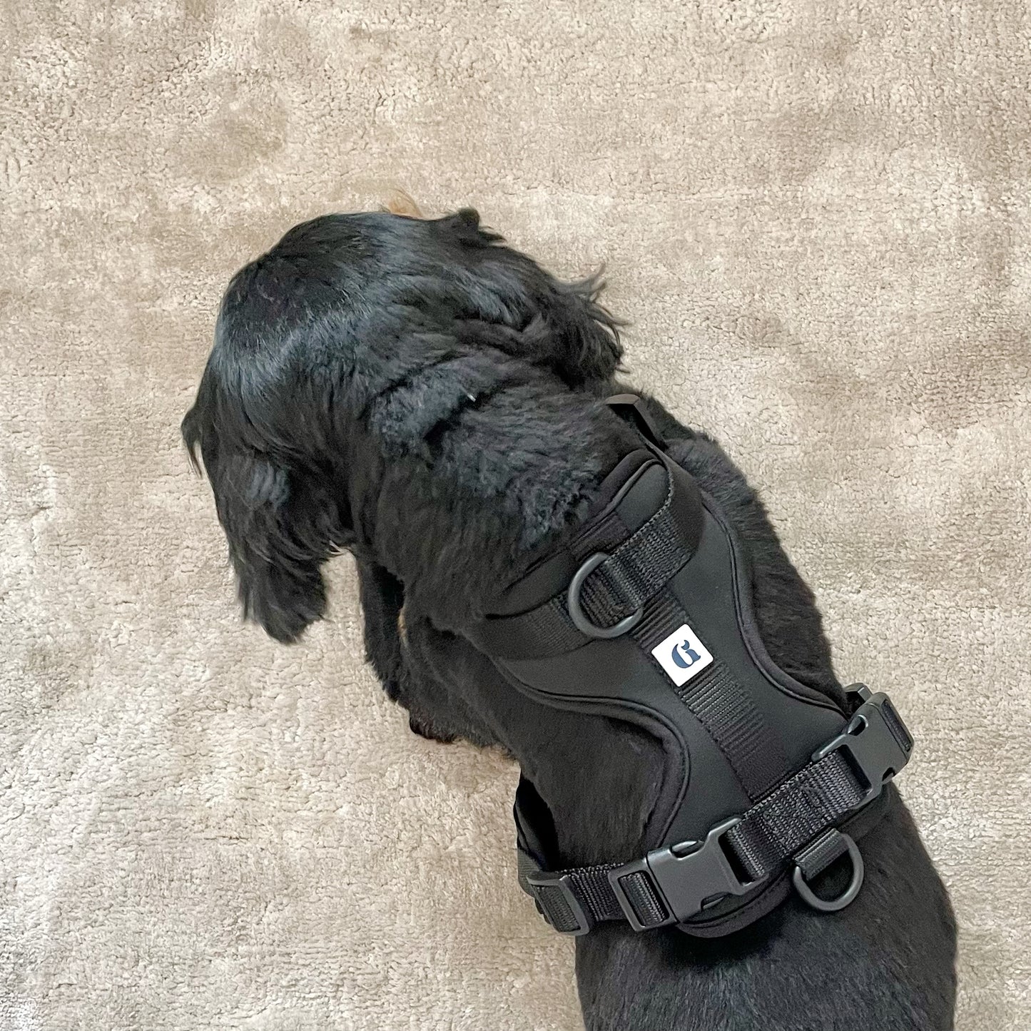 GoodDog Harness